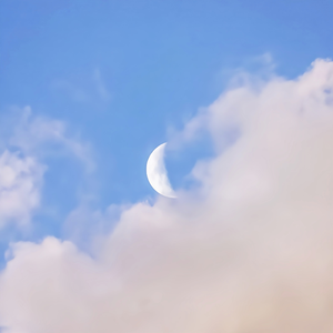 凌嘉演过的角色全部作品
