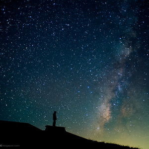 凌嘉演过的角色全部作品
